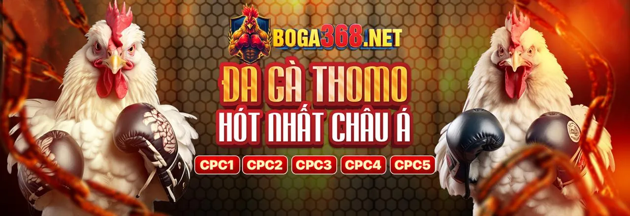 Đá gà trực tuyến Sodo99 Win